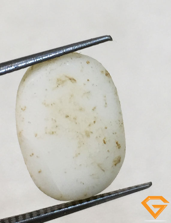 6.25 ratti/5.80 ct Natural Certified  White Coral/सफ़ेद मूंगा